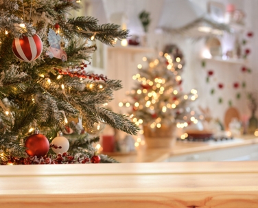 Plumbing Maintenance Tips for the Busy Holiday Season