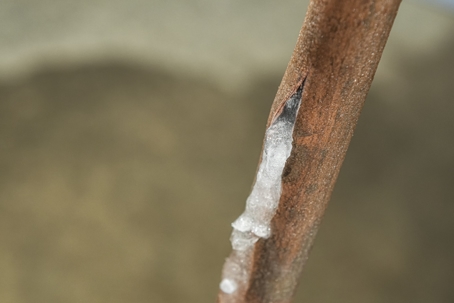 Frozen Leaky Pipes